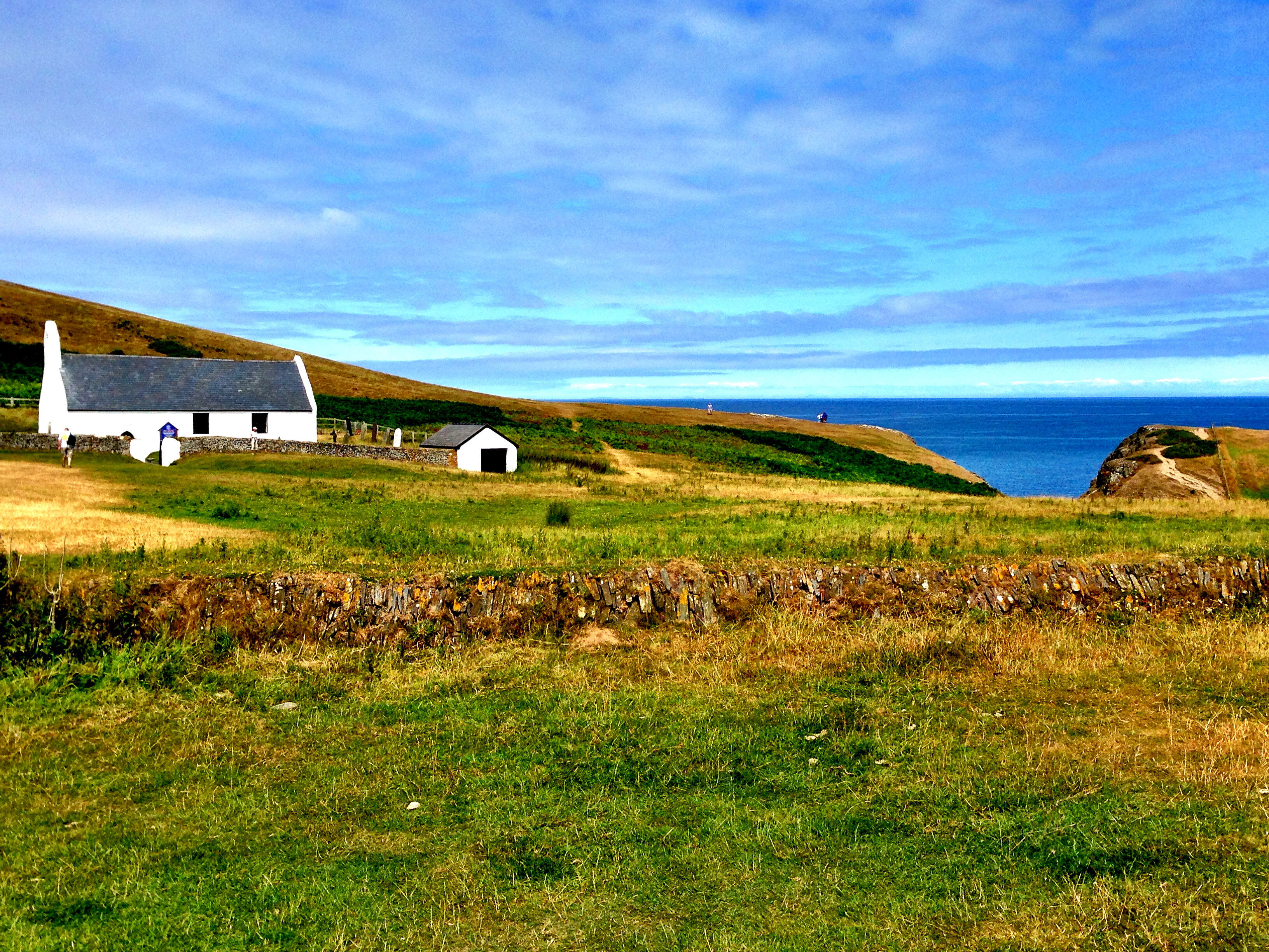 MWNT | PIZZA TIPI | FFOREST | CARDIGAN | WALES | WE LOVE FOOD, IT'S ALL WE EAT