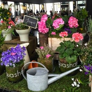 AQUA SHARD | THE SHARD | CHELSEA FLOWER SHOW | WE LOVE FOOD, IT'S ALL WE EAT