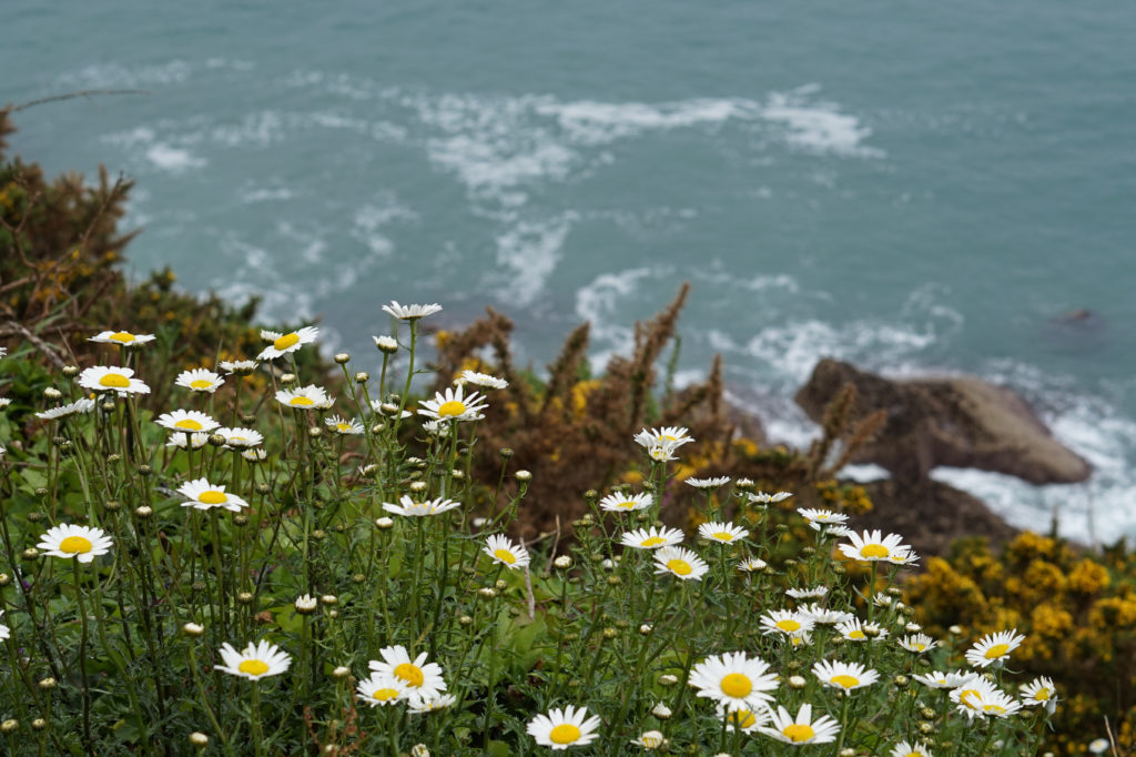 DEVIL'S HOLE, JERSEY, WE LOVE FOOD, IT'S ALL WE EAT