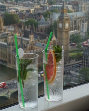 GORDON'S GIN AND SCHWEPPES EXPERIENCE | THE LONDON EYE | WE LOVE FOOD, IT'S ALL WE EAT