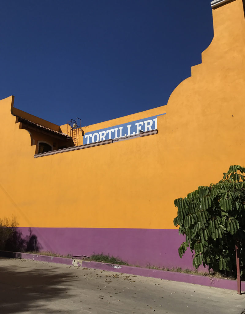 Tortilleria-Renteria-ENSENADA-LOS-MEXICO-WE-LOVE-FOOD-ITS-ALL-WE-EAT